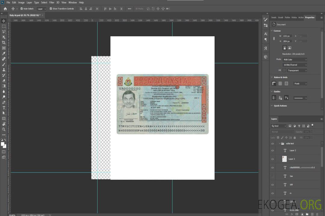 Visa à entrées multiples pour la Malaisie version 2 template